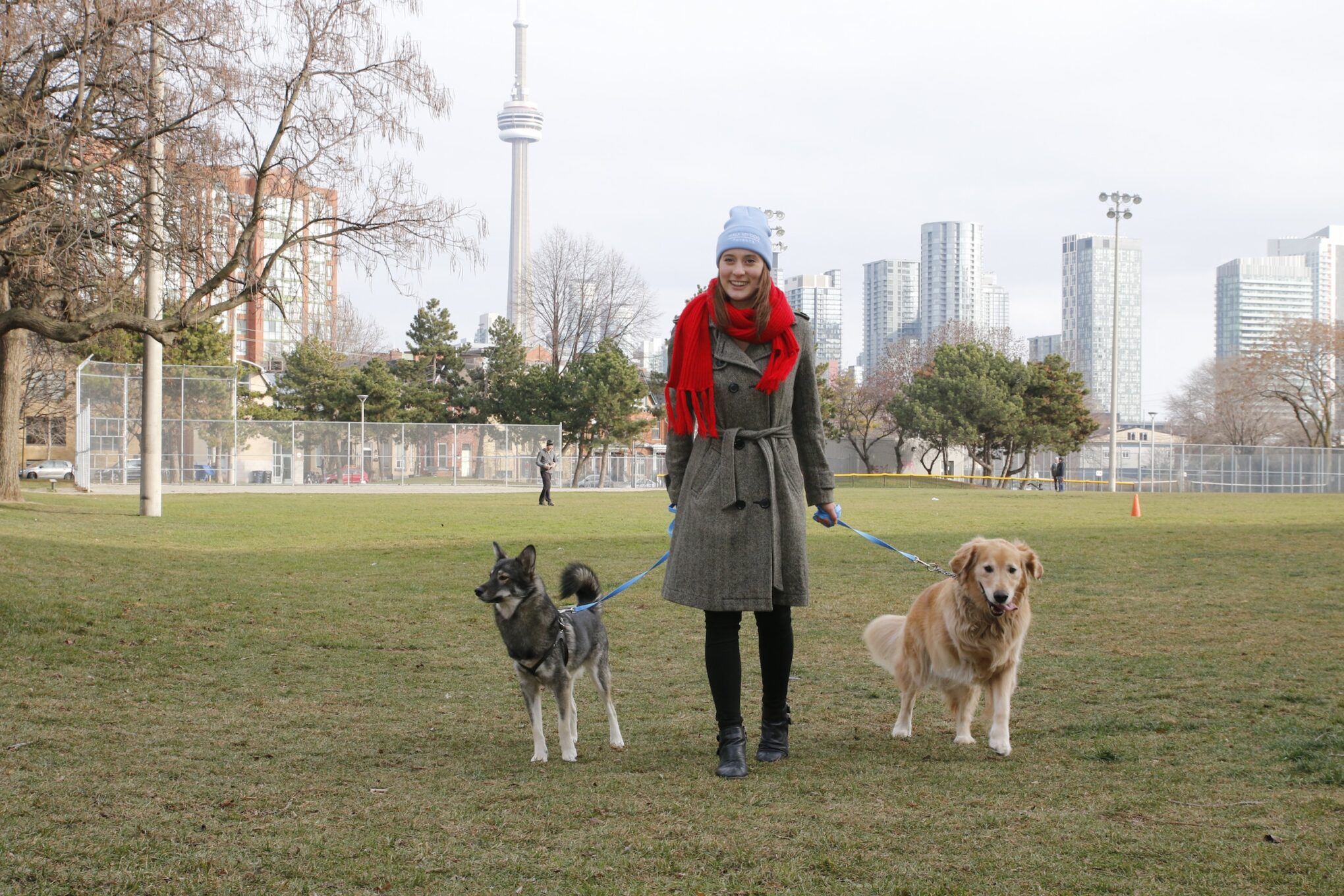 Walk My Dog Toronto - Liberty Village