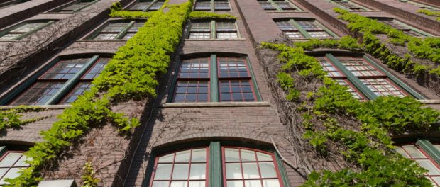 Toronto Carpet Factory - Doors Open Photo 3