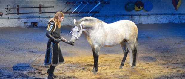 LV - Medieval Times Horsemanship