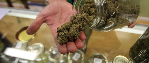 Liberty Village Cannabis