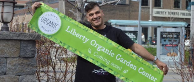 LV - Andy Liberty Organic