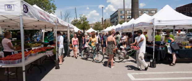 Liberty Village Farmer's Market - Camber