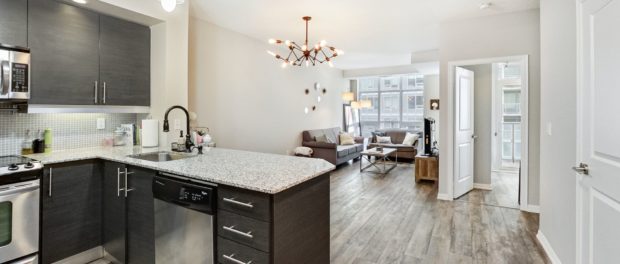 65 East Liberty St 1417 - Camber - Main
