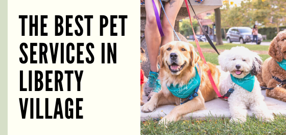 pet services in liberty village