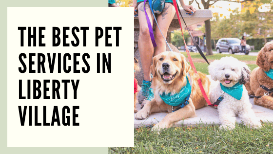 pet services in liberty village