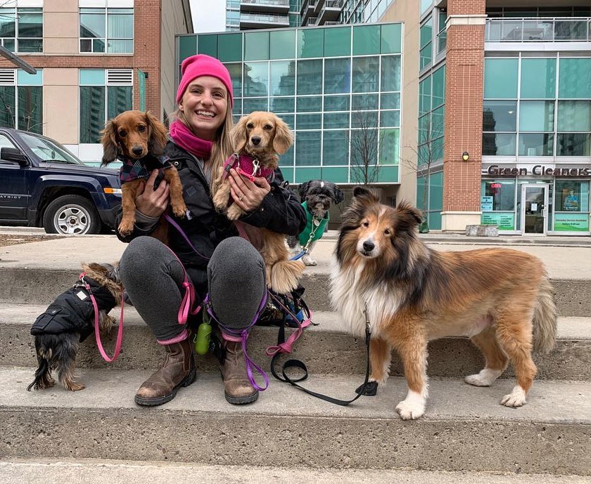 The Best Dog Walking Services In Liberty Village