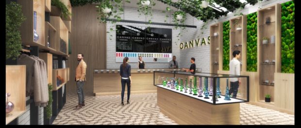 Canvas Cannabis Liberty Village
