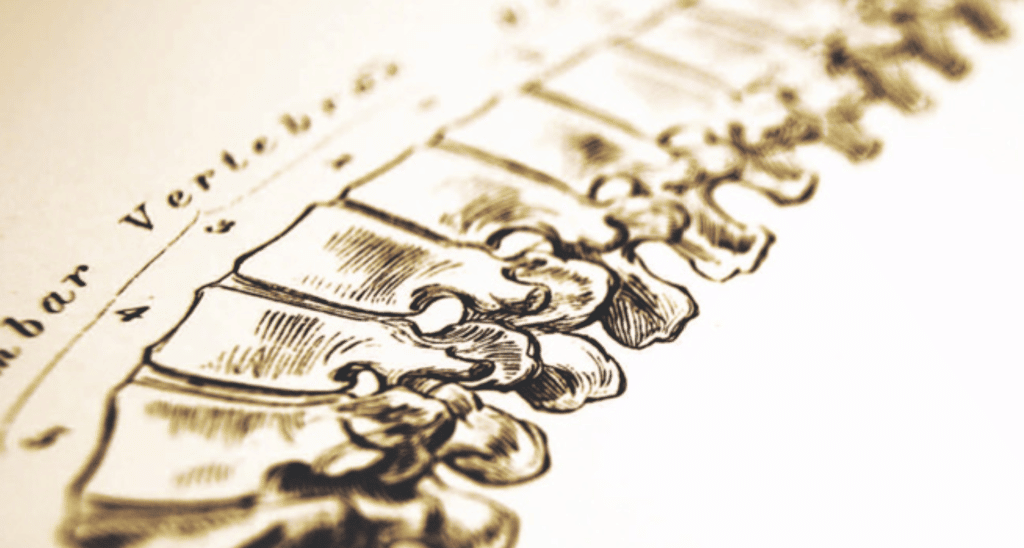 Body in Tune | Liberty Village Toronto | Your Online Neighbourhood Guide