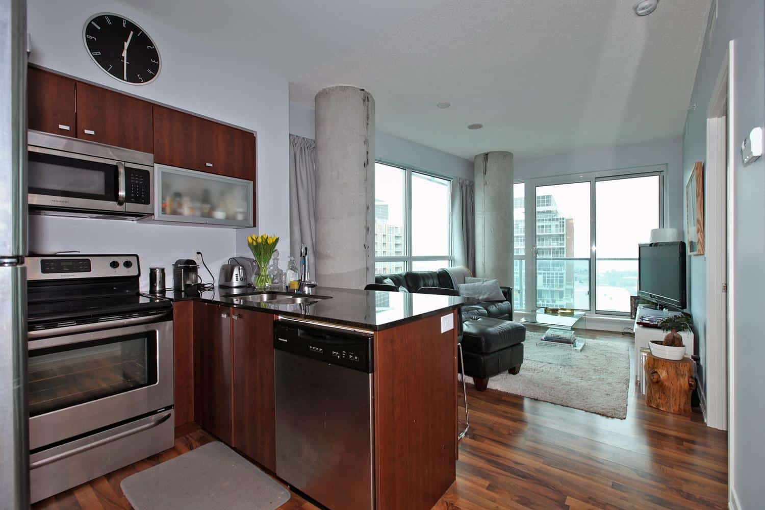 150 E Liberty St Unit 1905-large-009-008-Main Living Area-1500×1000-72dpi