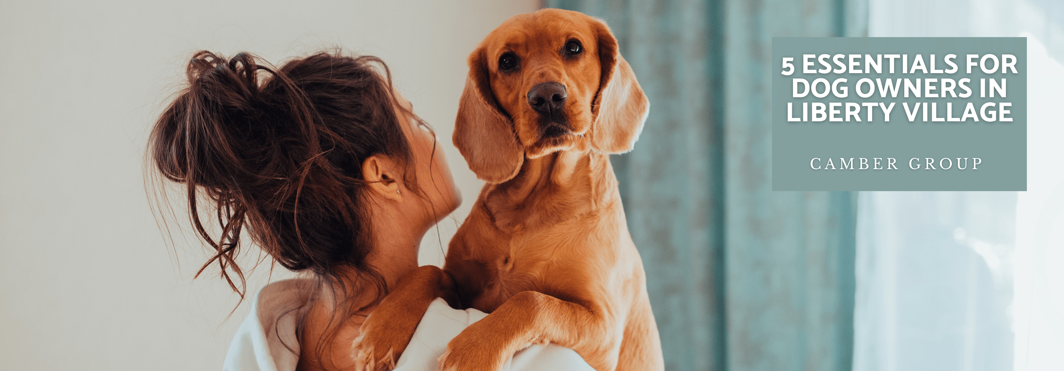 5 Essentials For Dog Owners in Liberty Village